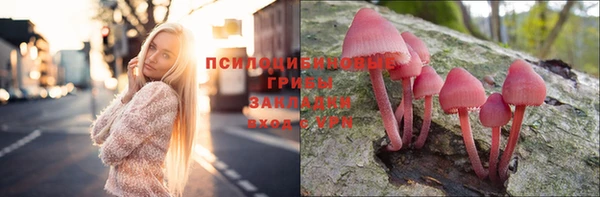 мескалин Снежногорск